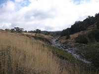Torrente_Quarantore - 20110911 177.jpg